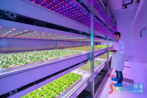 飛利浦研發(fā)燈光食譜